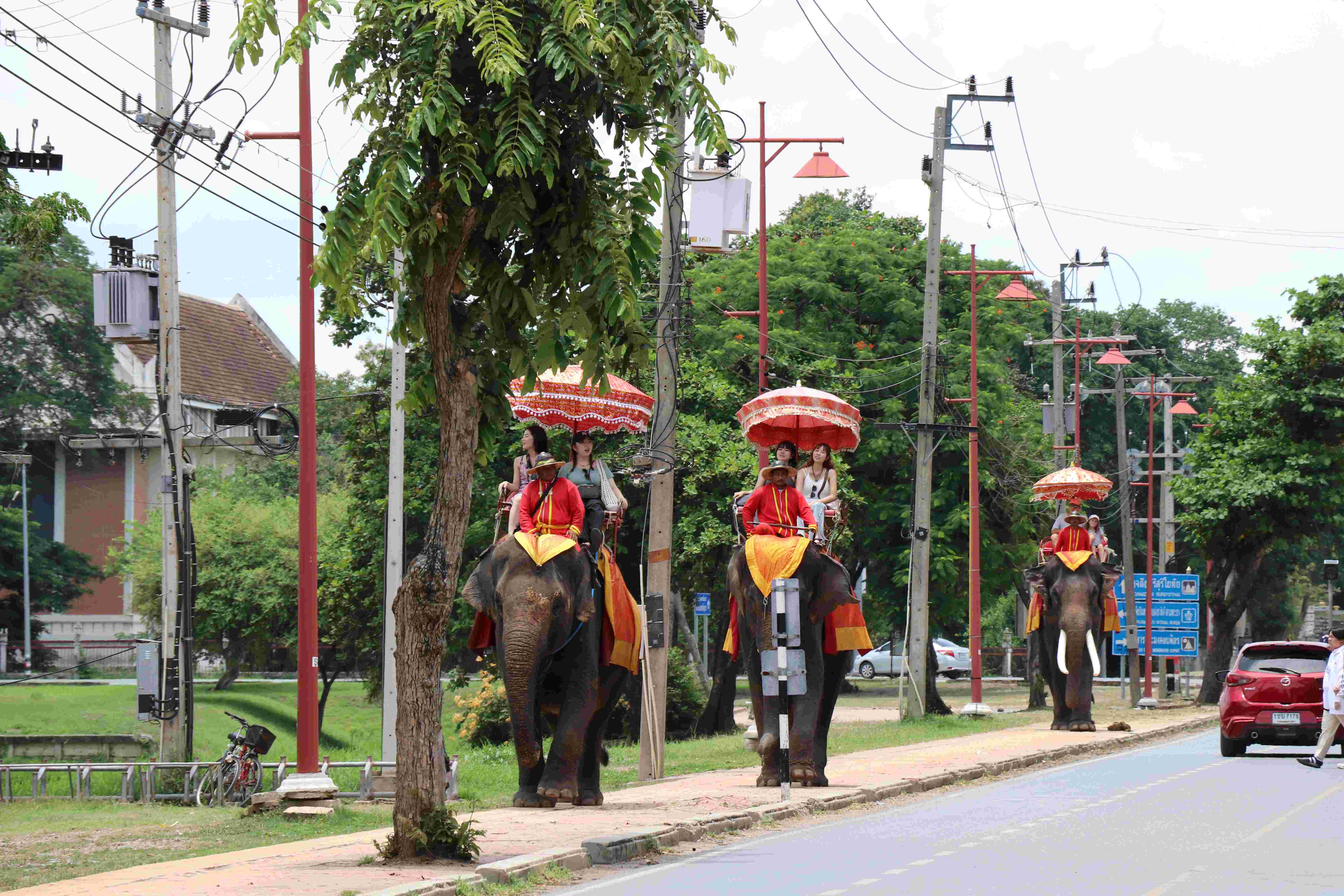 {"id":821,"name":"package-tours\/places\/4-4-e8262c0ed57f2ae20f4b4522cd6ec7ef.jpg","package_tours_places_id":4,"alt":"Elephant Village","position":4,"cover":0,"status":1,"created_at":"2024-09-08T08:28:18.000000Z","updated_at":"2024-09-08T08:28:18.000000Z","deleted_at":null}